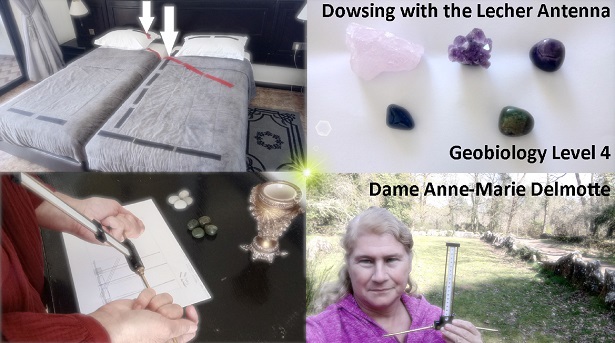 Dowsing with the Lecher Antenna Geobiology Level 4 online course