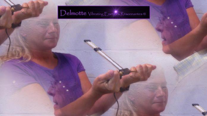 Lecher Antenna Bio-energy Training e-learning course