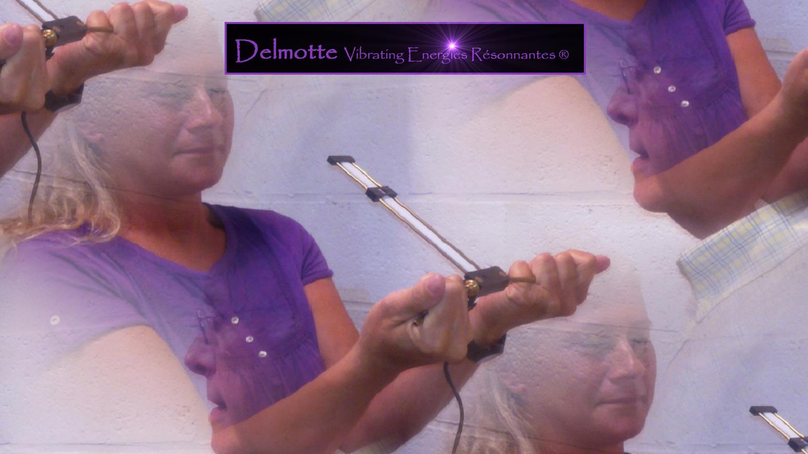 Lecher Antenna Bio-energy Training e-learning course