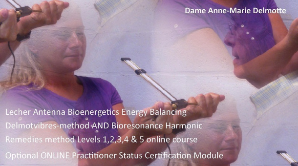 Lecher antenna Bioenergetics Levels 1,2,3,4,5 and 6 online Practitioner Certification course - the VIP Training Experience