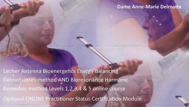 Lecher Antenna Bioenergetics Levels 1-5 online course