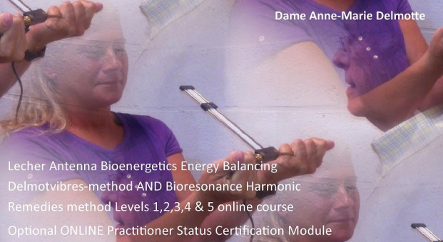 Lecher antenna Bioenergetics Levels 1,2,3,4,5 and 6 online Practitioner Certification course - the VIP Training Experience