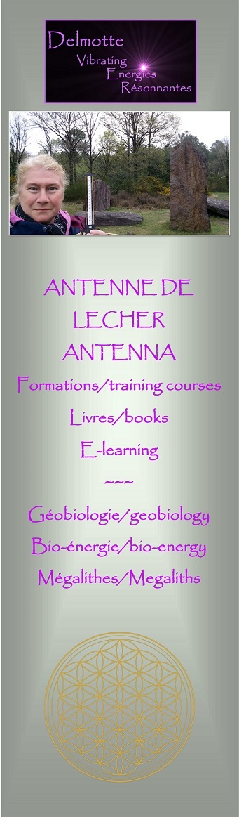 Delmotte Vibrating Energies Resonnantes