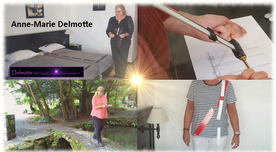 Lecher Antenna Dowsing Geobiology Training e-learning course