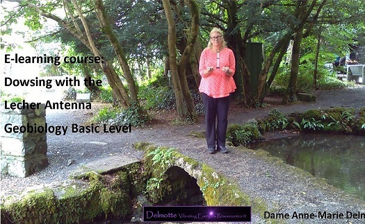 Lecher Antenna Geobiology Training e-learning course