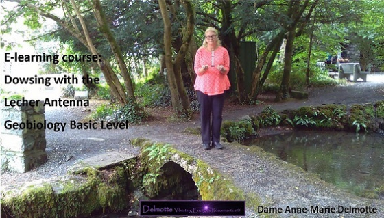 Lecher Antenna Geobiology Basic Level online course