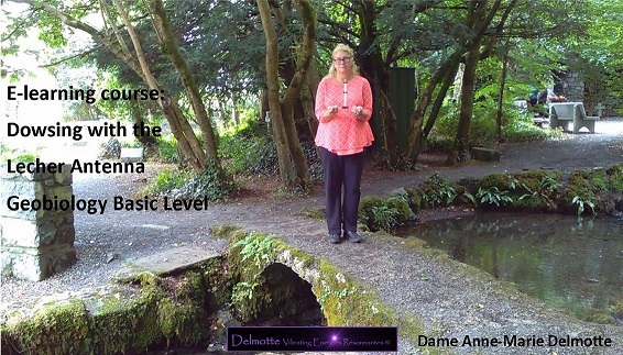 Lecher Antenna Geobiology Basic Level online course