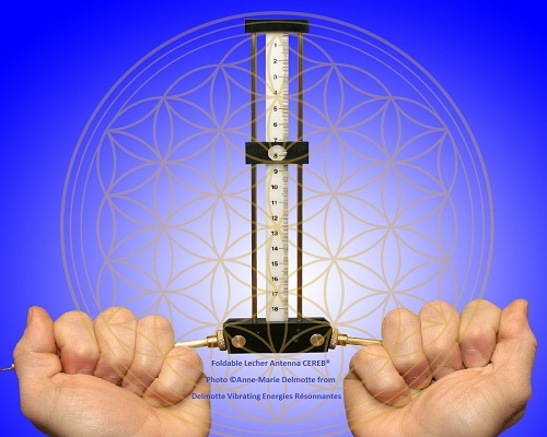Photo of Lecher antenna and flower of life symbol