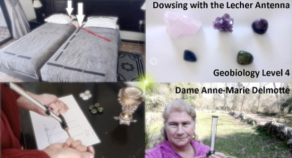 Lecher Antenna Dowsing Geobiology Training e-learning course