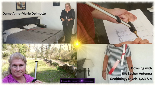 Lecher antenna Geobiology Levels 1,2,3 and 4 flagship online course the VIP Training Experience