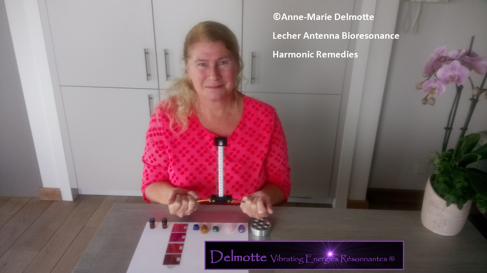 Lecher Antenna Dowsing Bio-energy Harmonic Remedies Traing e-learning course